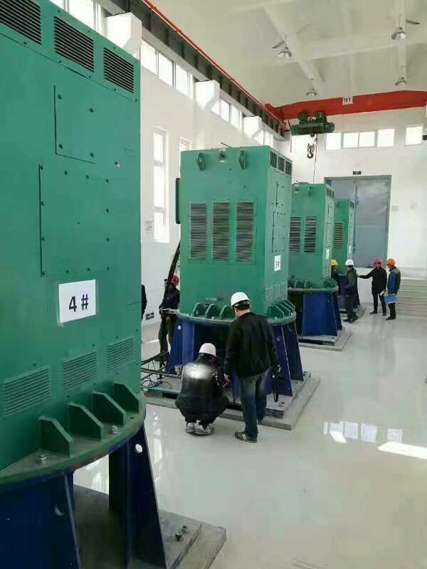 曹县某污水处理厂使用我厂的立式高压电机安装现场